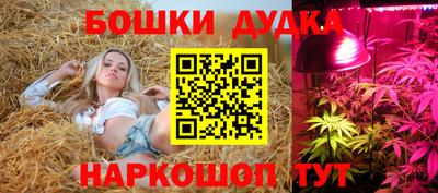 2c-b Рыбинск