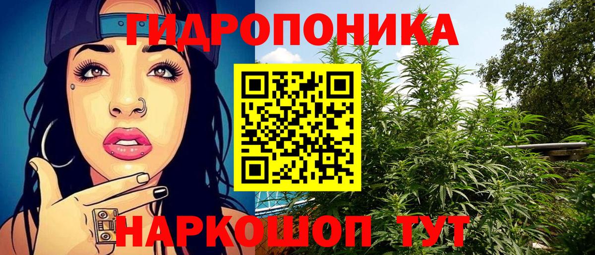 Конопля план Анапа